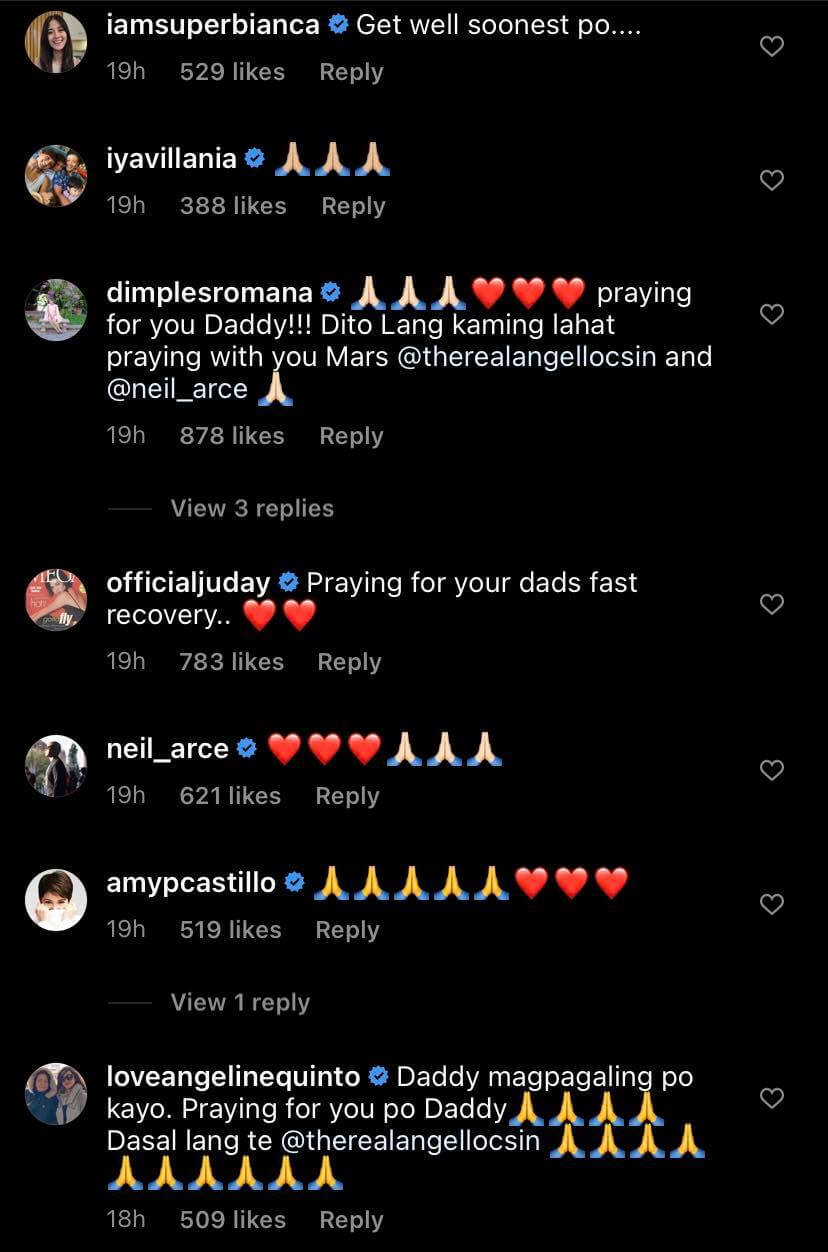angel-locsin-father-covid-19-comments